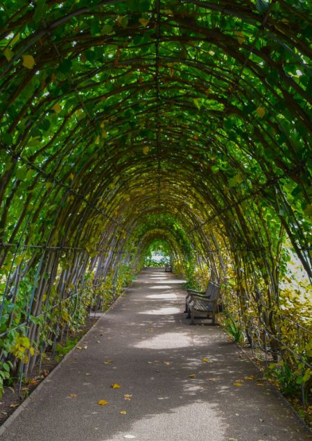 Paysagiste Demo 4 Prest01 2