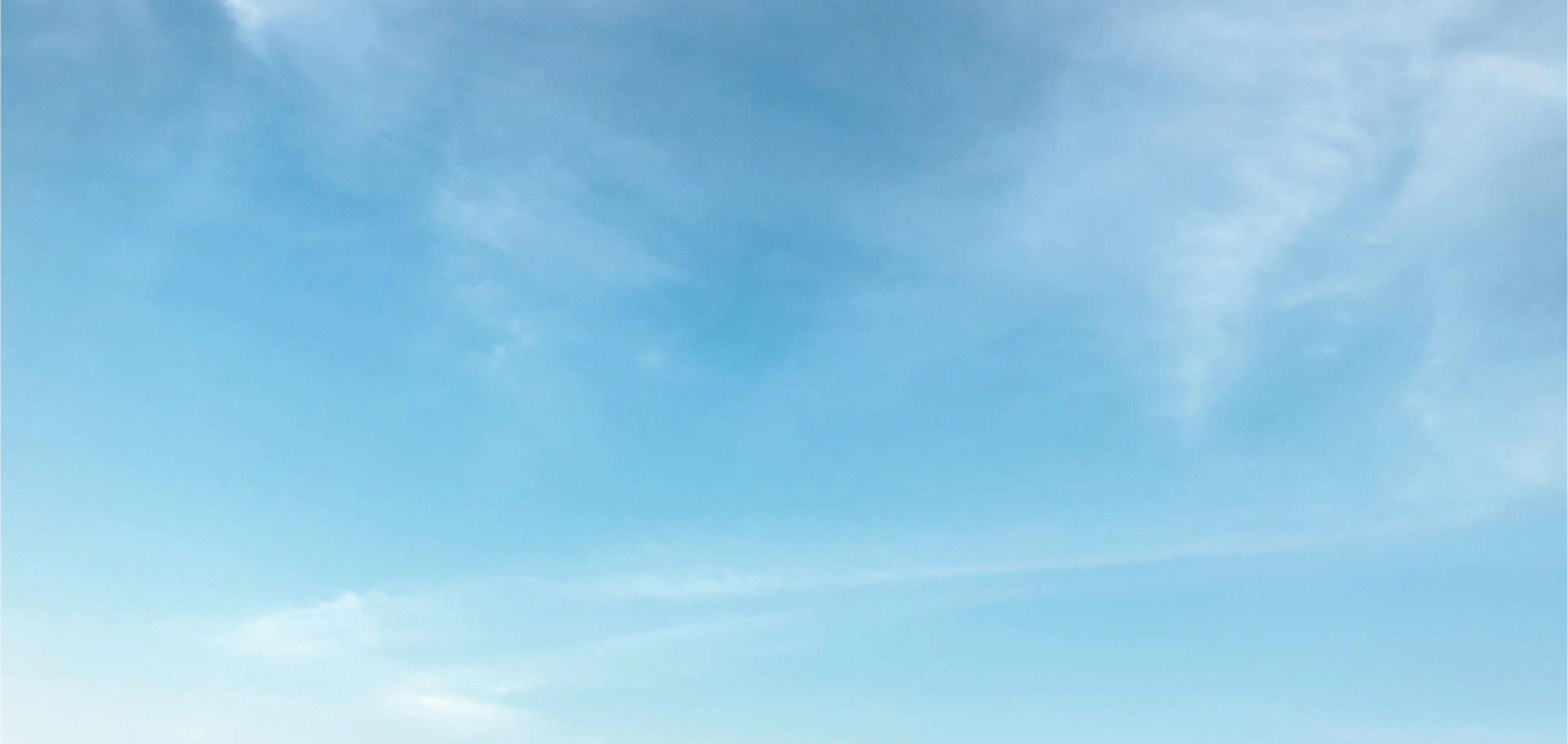 Sullivan Parcs Et Jardins Elagueur Var SULLIVAN PARCS ET JARDINS