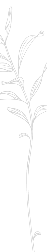 Sullivan Parcs Et Jardins Elagueur Var Paysagiste Demo 4 Groupe Defilant 5 2